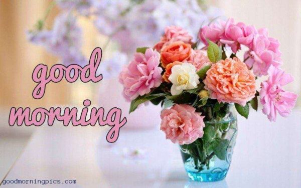 Good Morning With Beautiful Flowers