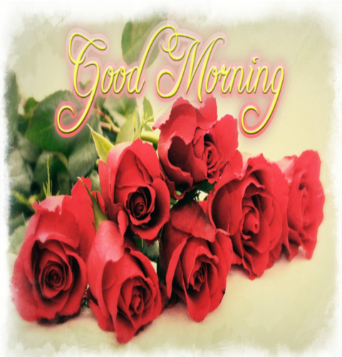 Good Morning Wishes With Flowers Pictures, Images - Page 2