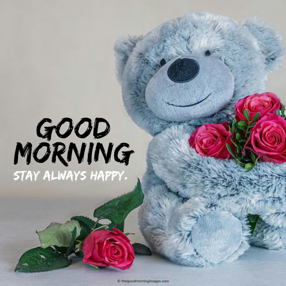 20 Cute Teddy Bear Good Morning Wishes - Good Morning Wishes