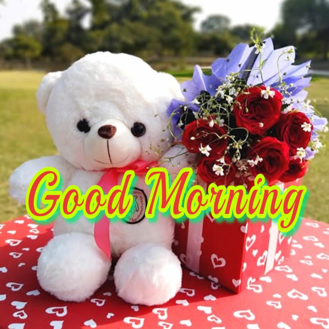 Teddy Bear Good Morning Love