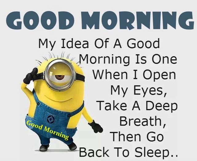 Funny Good Morning Wishes Pictures, Images