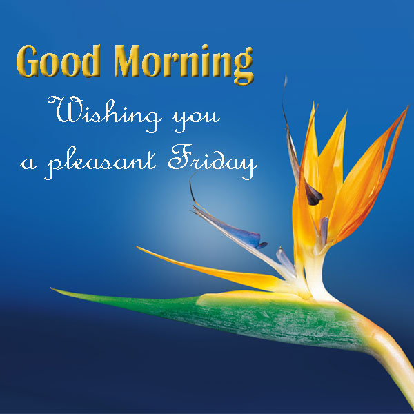 Good Morning Friday Wishes Images