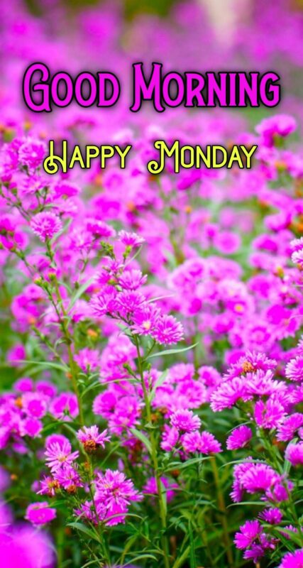 Good Morning Happy Monday Images