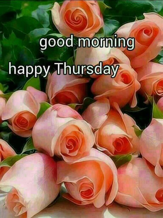 Good Morning Happy Thursday Flowers