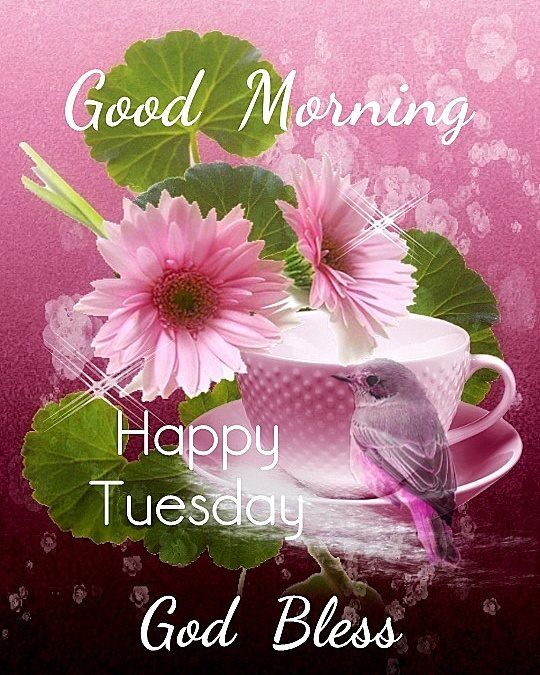Good Morning Happy Tuesday God Bless
