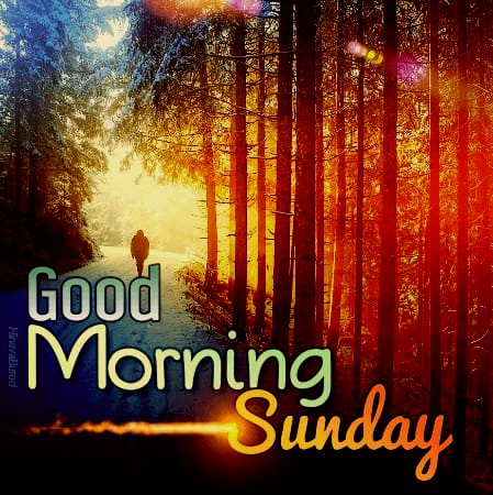 Good Morning Sunday