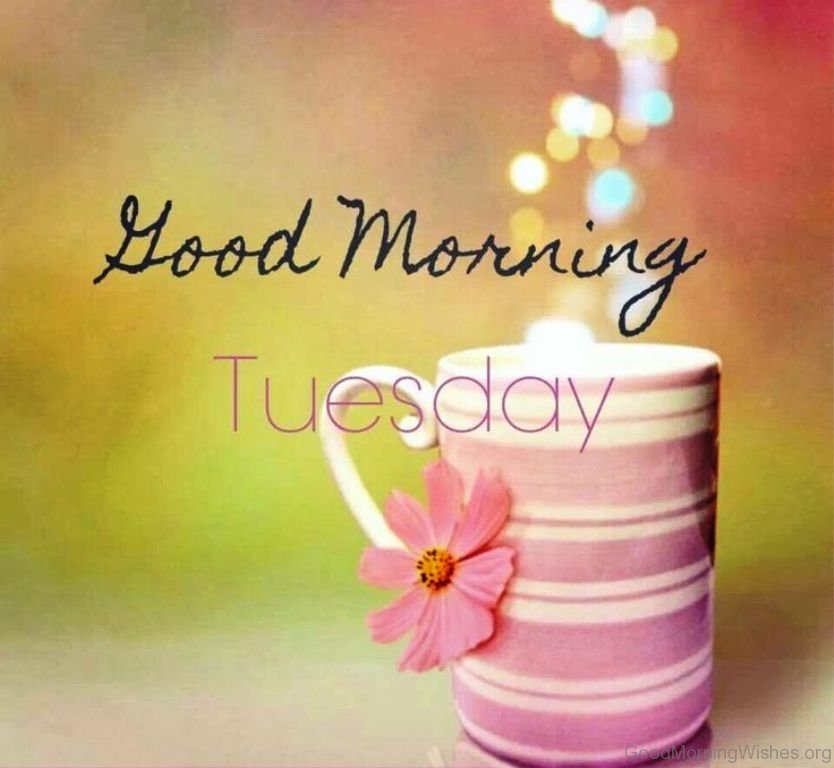 Good Morning Tuesday