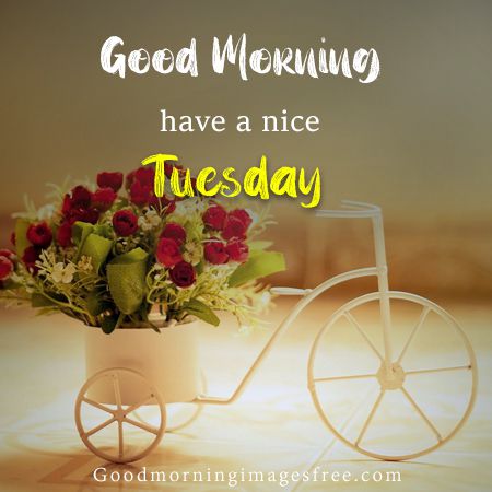 Good Morning Tuesday