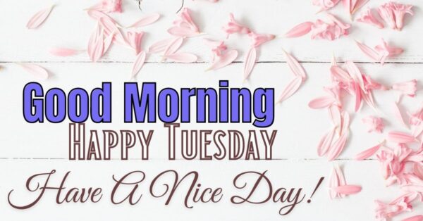 Happy Tuesday Good Morning Image