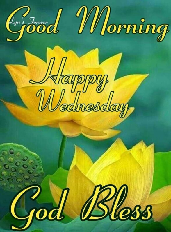 Happy Wednesday Good Morning