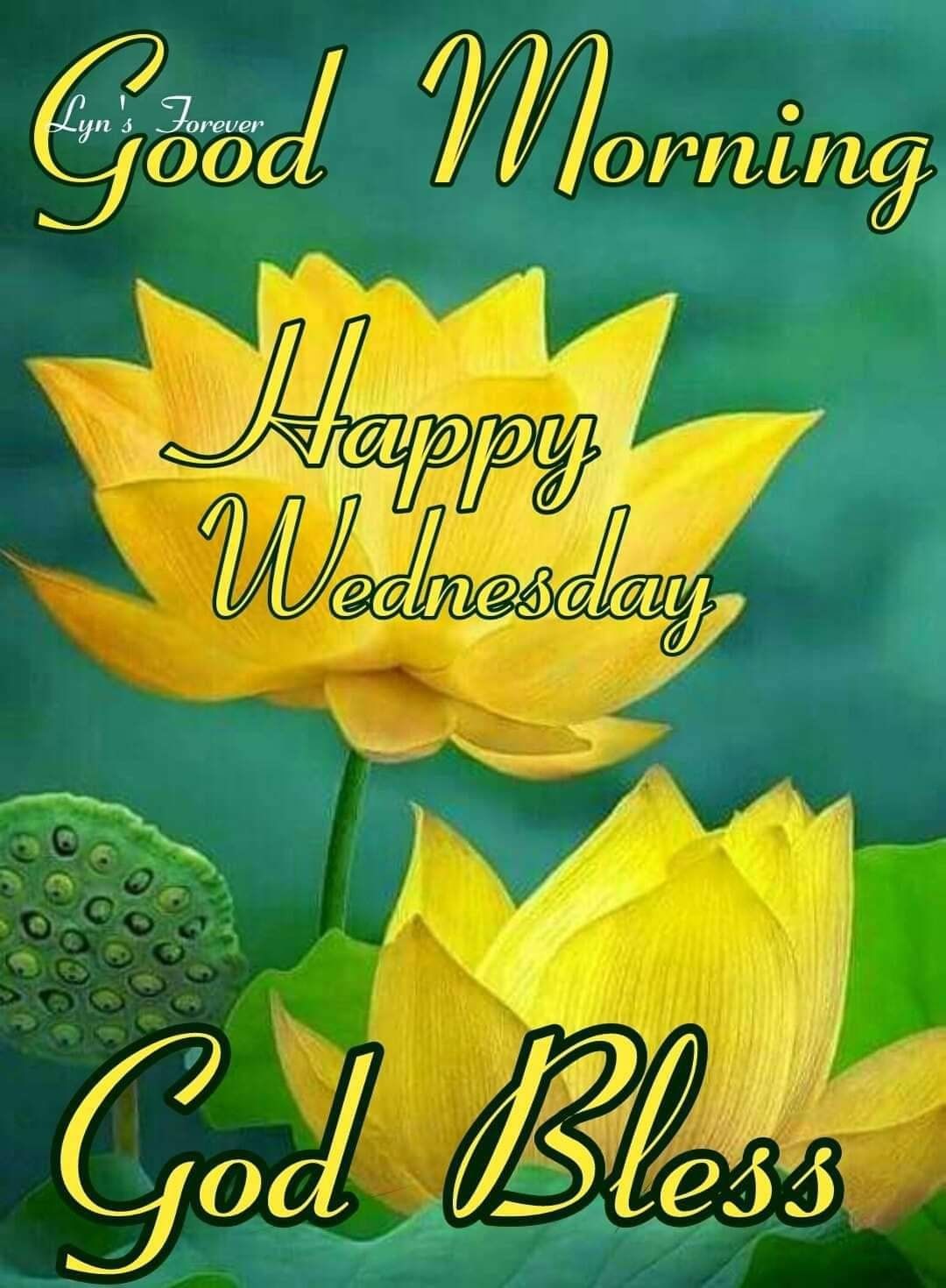 Good Morning Happy Wednesday God Bless