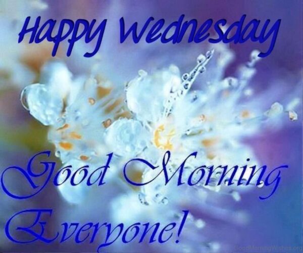 Happy Wednesday Good Morning Everyone