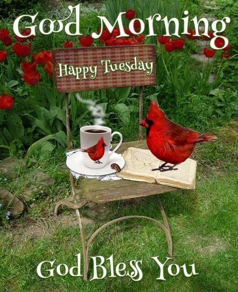 Good Morning Happy Tuesday God Bless You