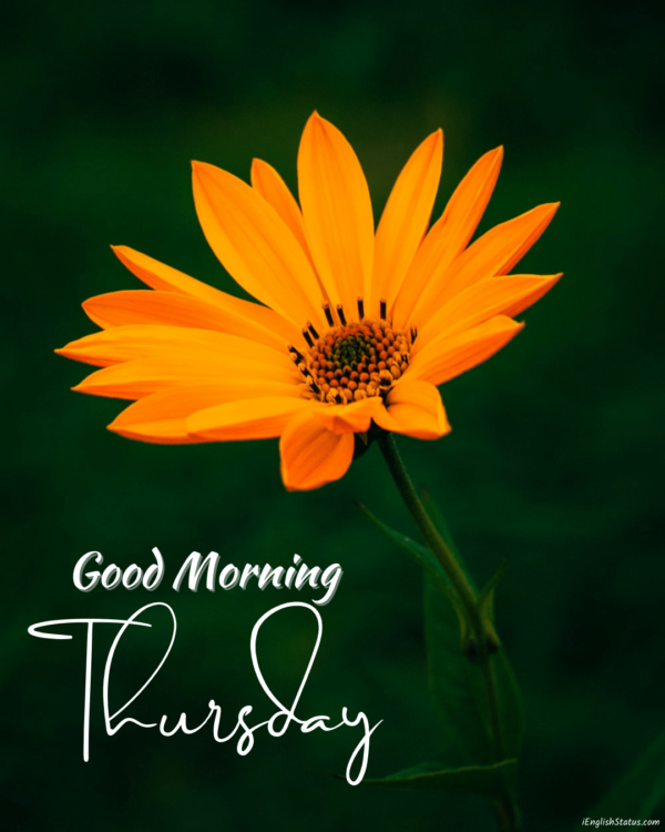 Positive Good Morning Thursday