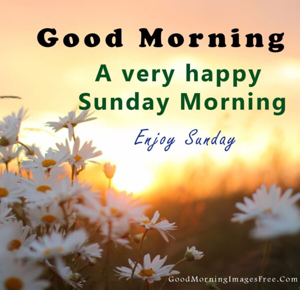 Good Morning And Have A Happy Sunday - Good Morning Wishes & Images