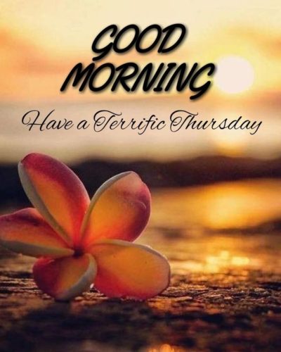 Good Morning Have A Terrific Thursday