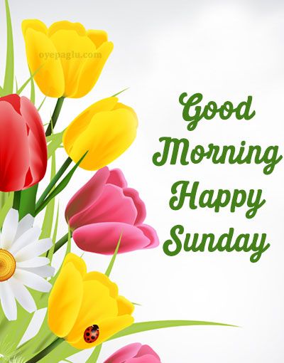 Good Morning Happy Sunday