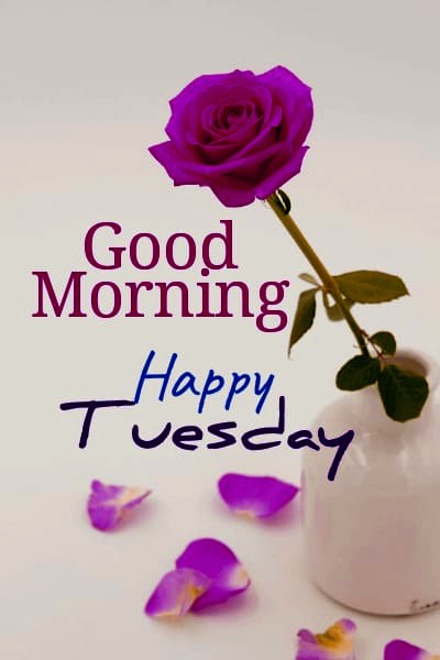 Good Morning Happy Tuesday