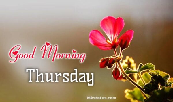 Good Morning Thursday