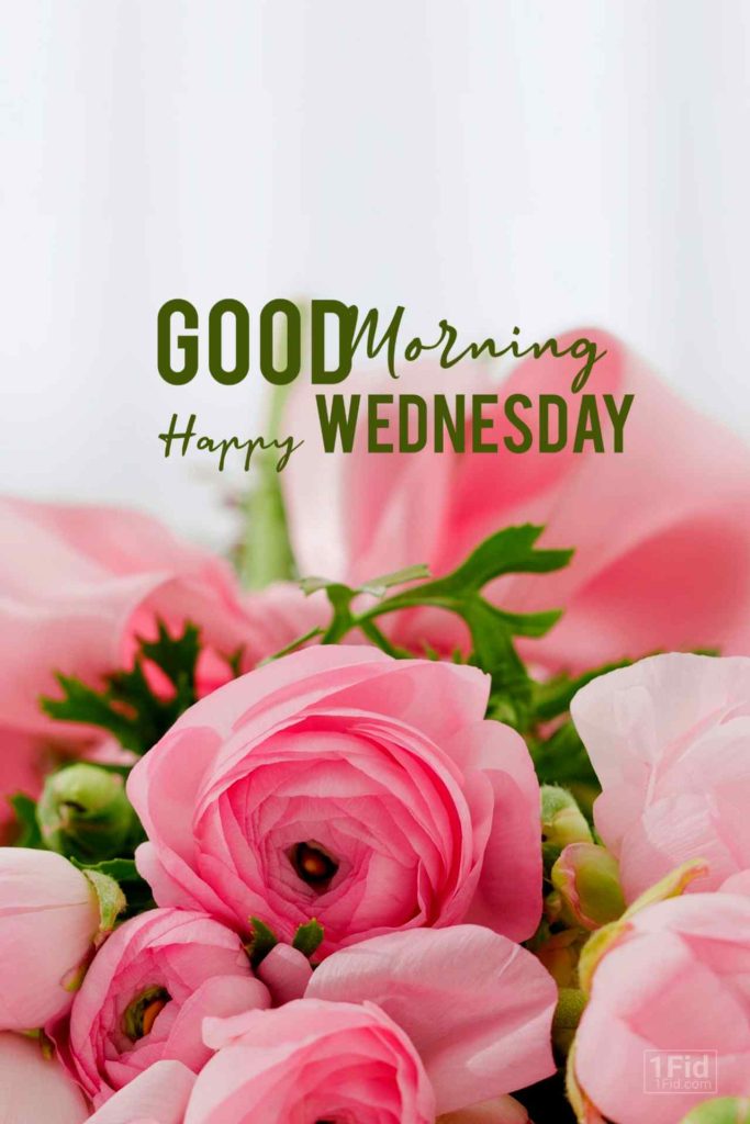 Good Morning Happy Wednesday Love Good Morning Wishes & Images