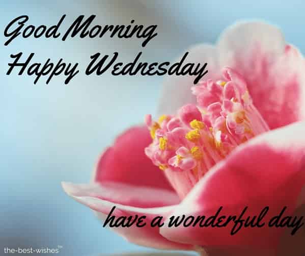 Good Morning Wednesday