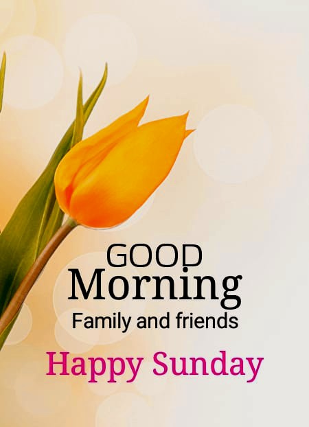 Happy Sunday Friends