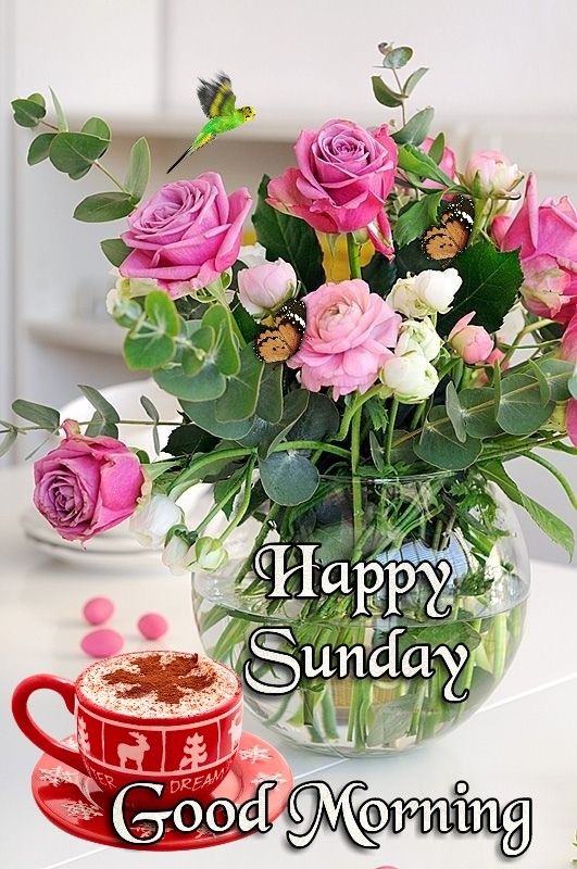 Sunday Good Morning