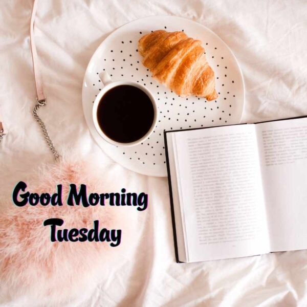 Tuesday Good Morning