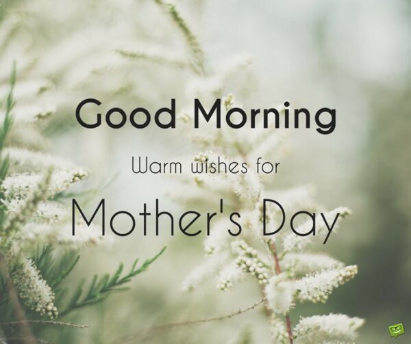 Good Morning Mothers Day