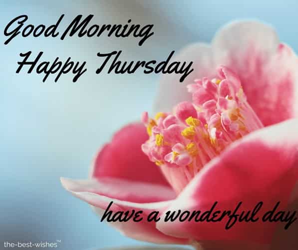 Good Morning Wishes On Thursday Pictures, Images