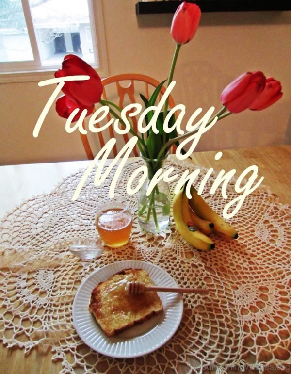 Amazing Good Morning Tuesday Status