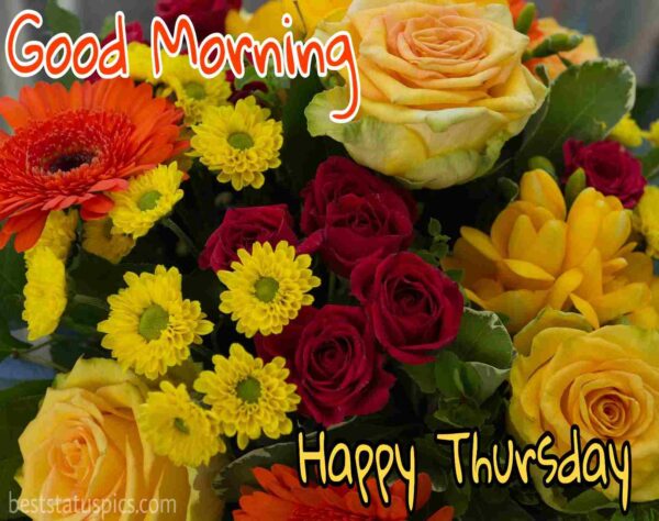 Good Morning A Very Happy Thursday Status