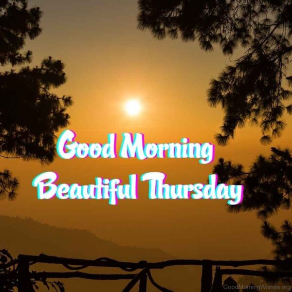 Good Morning Beautiful Thursday Pic