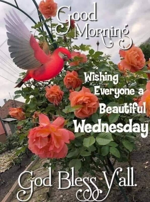 Good Morning Beautiful Wednesday God Bless You All Picture