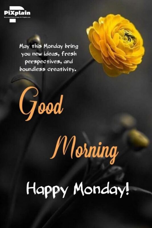 Good Morning Wishes On Monday Pictures, Images