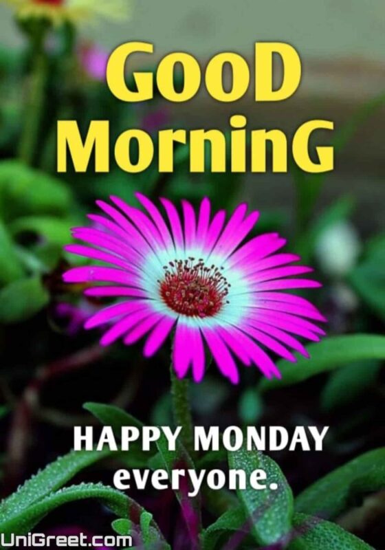 Good Morning Happy Monday To Everyone Image