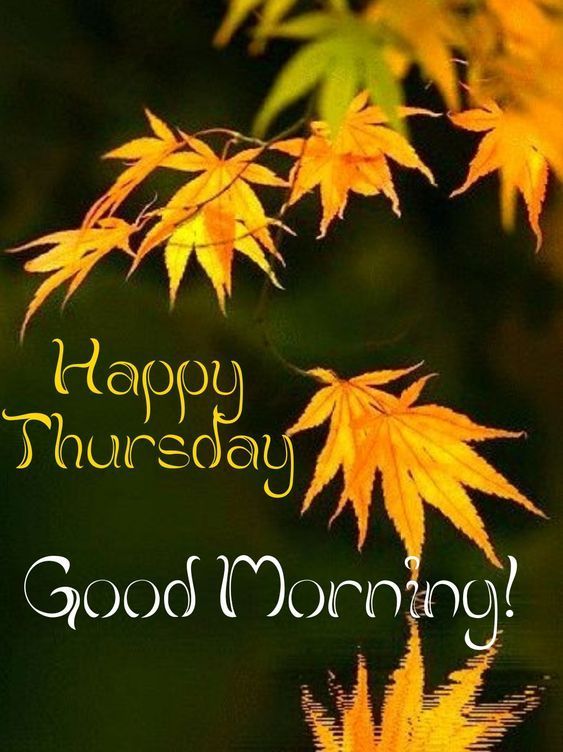 Good Morning Happy Thursday Image Image