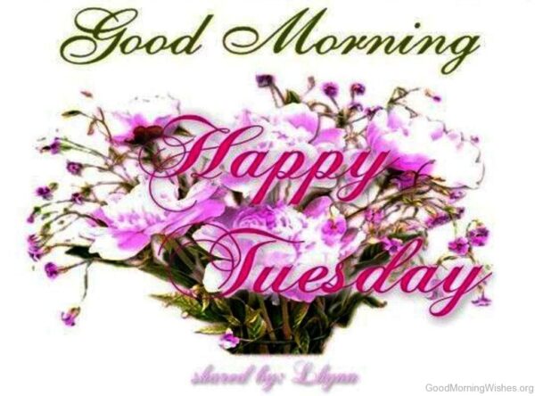 Good Morning Happy Tuesday Picture