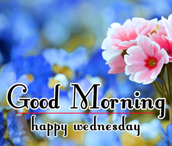 Good Morning Happy Wednesday Image - Good Morning Wishes & Images
