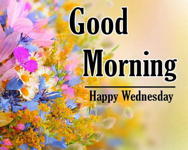 Good Morning Happy Wednesday Photo - Good Morning Wishes & Images