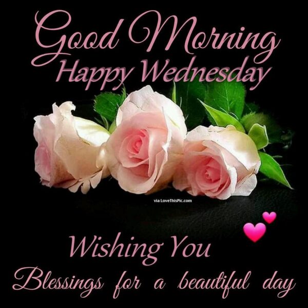 Good Morning Happy Wednesday Wishing You Blessing For A Beautiful Day Image