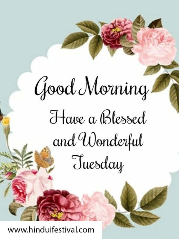 Good Morning Have A Blessed And Wonderful Tuesday Status