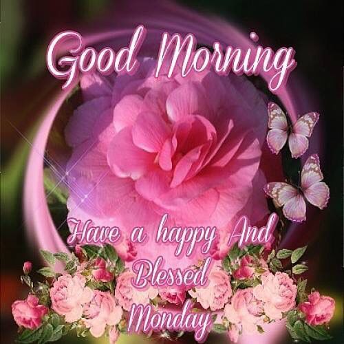 Good Morning Have A Blessed Monday Status