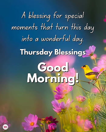 Good Morning Have A Blessed Thursday Status