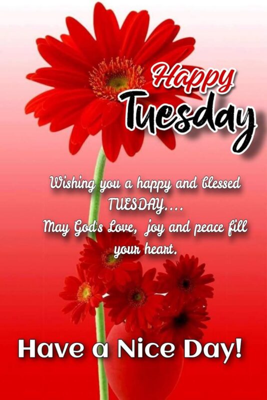 Good Morning Have A Blessed Tuesday Status