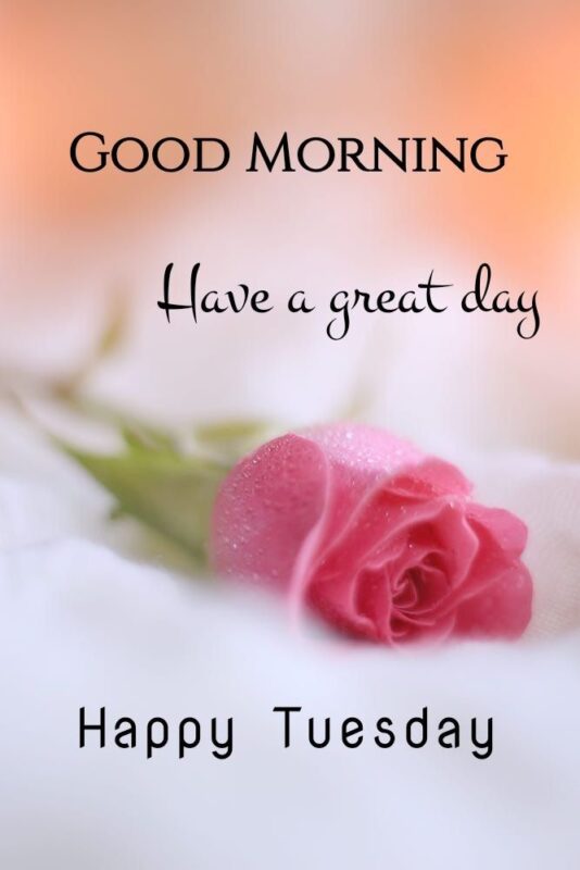 Good Morning Have A Great Day And Happy Tuesday Image