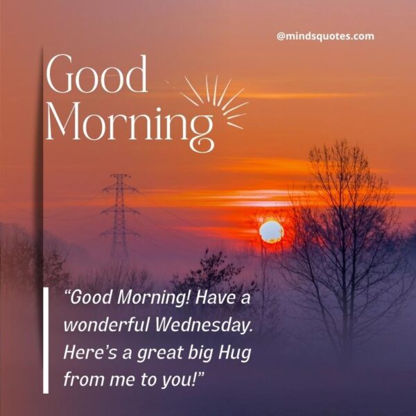 Good Morning Have A Great Wednesday Status