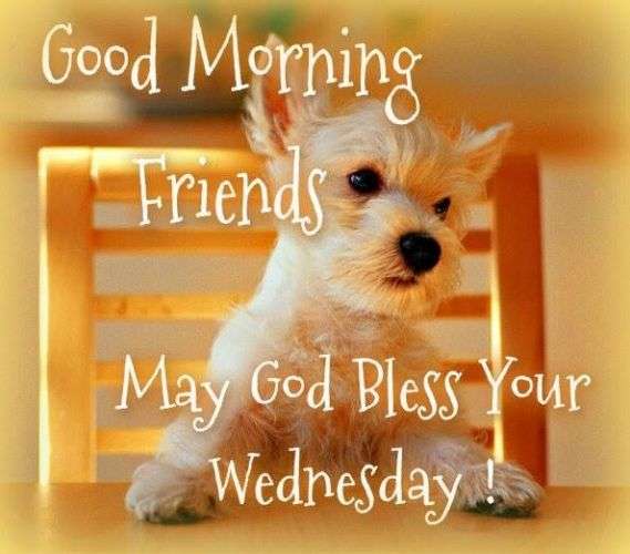 Good Morning May God Bless Your Wednesday Image