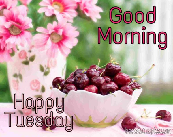 Good Morning Wish You A Happy Tuesday Picture