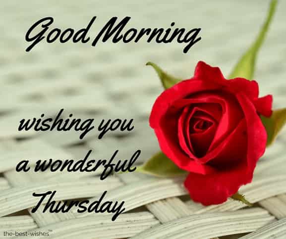 Good Morning Wishing You A Wonderful Thursday Photo